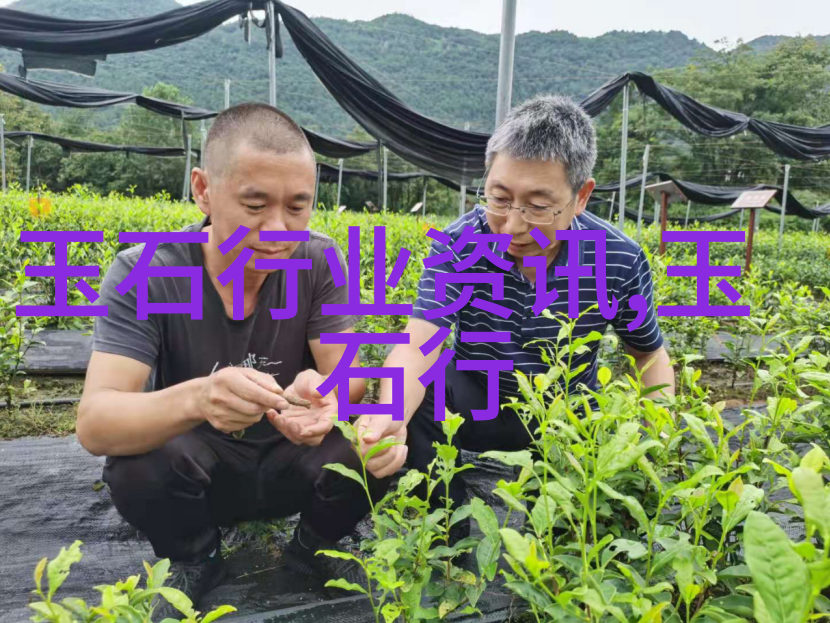 佩戴玉石貔貅怎样开光玉石貔貅吊坠怎样开光佩戴